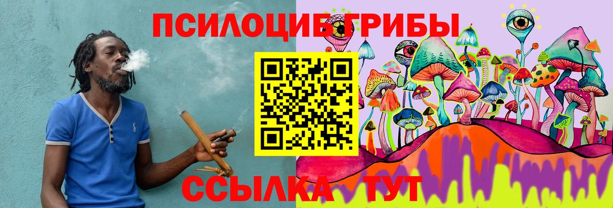 Псилоцибиновые грибы Psilocybe  Вход с VPN  Псилоцибиновые грибы мухоморы  Лангепас 